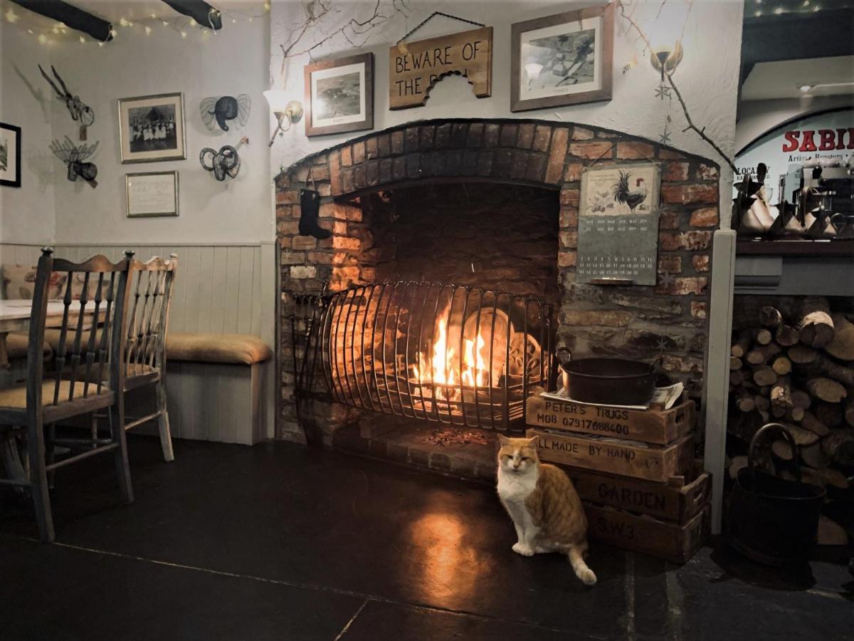 Molesworth Accommodation, Pyworthy, Devon Холсворти Экстерьер фото