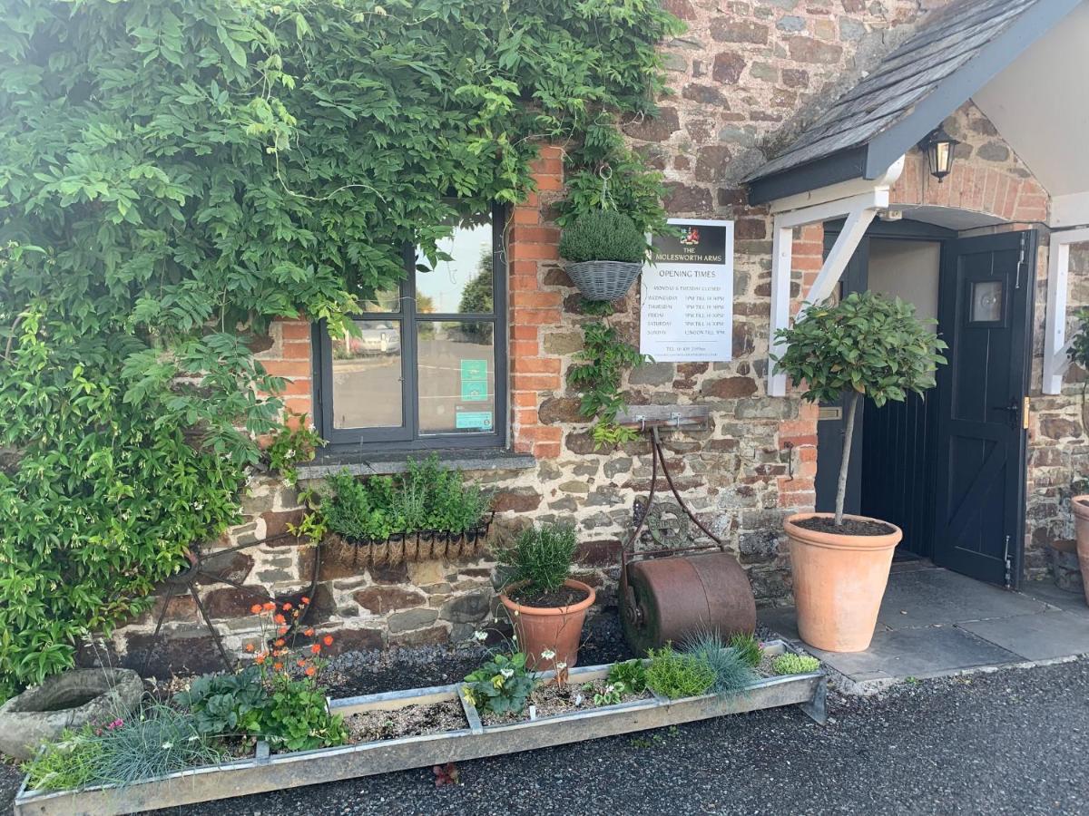 Molesworth Accommodation, Pyworthy, Devon Холсворти Экстерьер фото